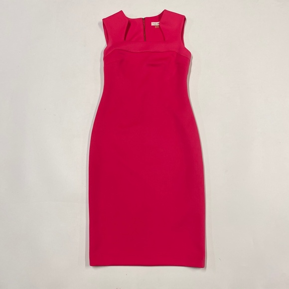 Calvin Klein Pink Bodycon Dress - Picture 9 of 13